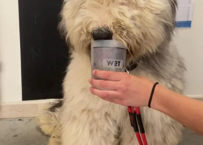 Wot Nomad Social 旅馆