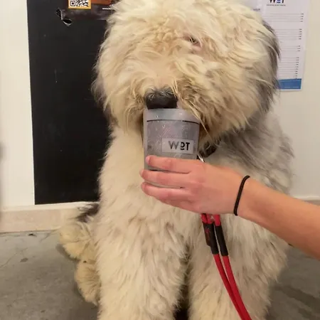 Wot Nomad Social Хостел