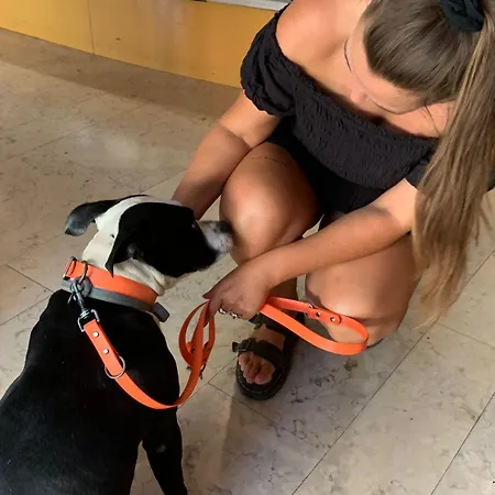 호스텔 Wot Nomad Social *