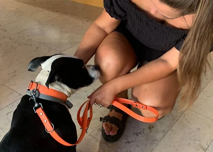 Hostel Wot Nomad Social *